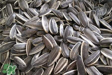 乙肝能吃瓜子嗎？乙肝患者不能食用葵瓜子