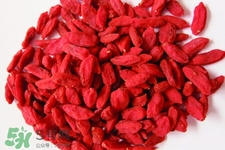 有乙肝能吃枸杞嗎？乙肝病人可以吃枸杞嗎？