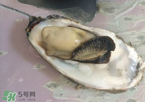 生蠔多少錢(qián)一斤？生蠔一斤有幾個(gè)？