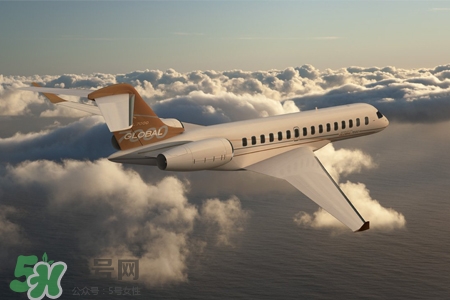 有乙肝能出國嗎？有乙肝病毒攜帶能出國嗎？