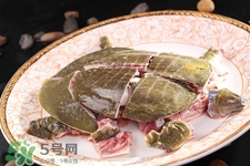 有乙肝可以吃甲魚(yú)嗎？乙肝患者禁吃甲魚(yú)