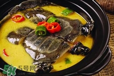 有乙肝可以吃甲魚(yú)嗎？乙肝患者禁吃甲魚(yú)