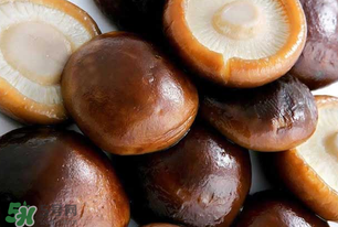 一歲寶寶可以吃香菇嗎？寶寶多大可以吃香菇？