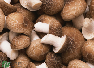 一歲寶寶可以吃香菇嗎？寶寶多大可以吃香菇？