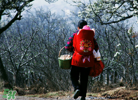 立春可以回娘家嗎？立春能在娘家過嗎？