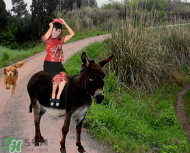 立春可以回娘家嗎？立春能在娘家過嗎？