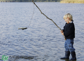 立春能釣魚嗎？立春好釣魚嗎？