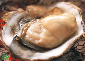 生蠔隔夜可以吃嗎？隔夜的生蠔能吃嗎？