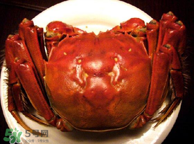 臘月吃什么蟹？臘月吃公蟹還是母蟹？