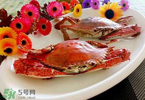 臘月吃什么蟹？臘月吃公蟹還是母蟹？