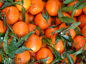 臘月吃什么水果？臘月有什么好吃的水果？