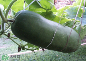 臘月吃什么？臘月吃什么好？