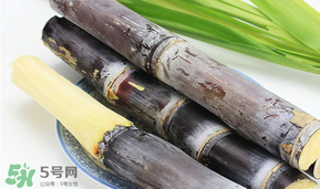 臘月吃什么？臘月吃什么好？