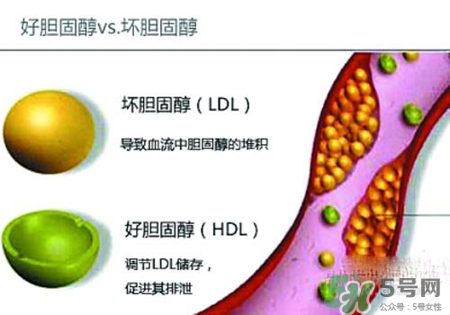 膽固醇高是血脂稠嗎？膽固醇高和血脂稠有什么聯(lián)系？