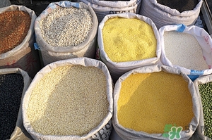 黑米可以蒸米飯嗎?怎樣用黑米蒸米飯 黑米可以蒸米飯嗎?怎樣用黑米蒸米飯