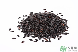 黑米可以蒸米飯嗎?怎樣用黑米蒸米飯 黑米可以蒸米飯嗎?怎樣用黑米蒸米飯