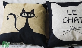 怎么用橘子皮做枕頭?橘子皮做枕頭的功效與作用 怎么用橘子皮做枕頭?橘子皮做枕頭的功效與作用