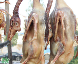 臘鵝怎么腌制？臘鵝的腌制方法