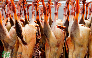 臘鵝怎么腌制？臘鵝的腌制方法