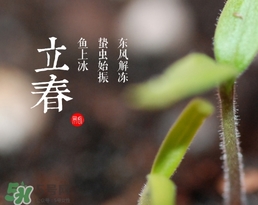 立春吃什么蔬菜？立春時令蔬菜推薦