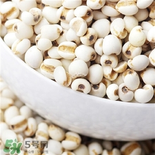 薏仁面膜怎么做?薏仁面膜的功效與作用 薏仁面膜怎么做?薏仁面膜的功效與作用