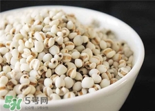 薏仁面膜怎么做?薏仁面膜的功效與作用 薏仁面膜怎么做?薏仁面膜的功效與作用