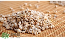 薏仁面膜怎么做?薏仁面膜的功效與作用 薏仁面膜怎么做?薏仁面膜的功效與作用