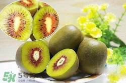 喝酒后可以吃獼猴桃嗎？酒和獼猴桃可以一起吃嗎？