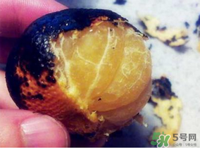 橘子烤著吃會上火嗎？烤橘子上火嗎？