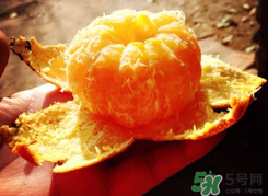 烤橘子可以用煤氣灶嗎？橘子用煤氣灶烤有毒嗎？