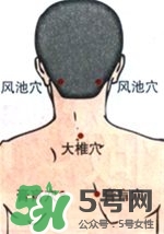 膏肓的準確位置圖 膏肓穴痛跟什么有關 膏肓的準確位置圖 膏肓穴痛跟什么有關