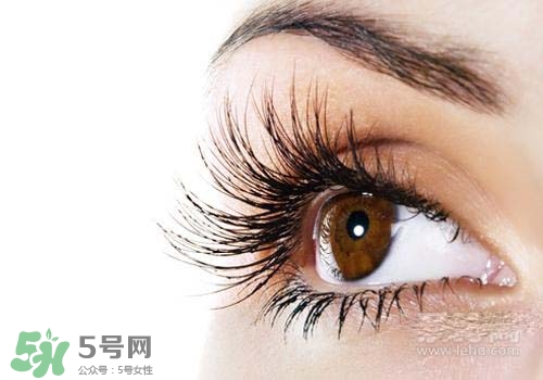 潤唇膏可以增長睫毛嗎？潤唇膏怎樣增長睫毛？