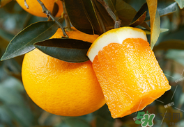 為什么橙子里面有個(gè)小橙子？橙子里面的小橙子能吃嗎？