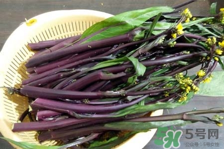 紅菜苔怎么保存？紅菜苔的存儲(chǔ)方法