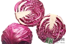 紫甘藍(lán)是轉(zhuǎn)基因食品嗎？紫甘藍(lán)是轉(zhuǎn)基因蔬菜嗎？