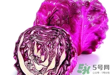 涼拌紫甘藍(lán)用焯水嗎？紫甘藍(lán)涼拌需要焯水嗎？