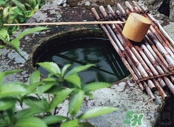 井華水是什么？井華水的含義