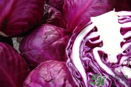 紫甘藍怎么挑選？如何挑選紫甘藍？