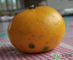 橘子皮發(fā)霉可以吃嗎？吃了發(fā)霉的橘子怎么辦？