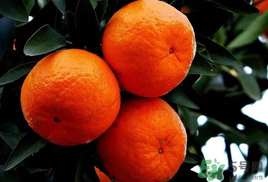 橘子皮發(fā)霉可以吃嗎？吃了發(fā)霉的橘子怎么辦？