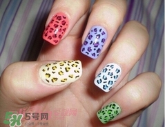 豹紋美甲圖片2017 豹紋美甲怎么畫 豹紋美甲圖片2017 豹紋美甲怎么畫