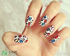 豹紋美甲圖片2017 豹紋美甲怎么畫 豹紋美甲圖片2017 豹紋美甲怎么畫