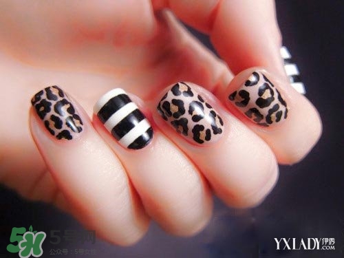 豹紋美甲圖片2017 豹紋美甲怎么畫 豹紋美甲圖片2017 豹紋美甲怎么畫