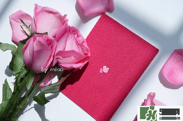 蘭蔻菁純唇膏378試色 蘭蔻菁純絲絨唇膏378試色圖 蘭蔻菁純唇膏378試色 蘭蔻菁純絲絨唇膏378試色圖