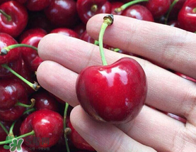 車?yán)遄釉趺幢４婧茫寇嚴(yán)遄釉趺幢ｕr？