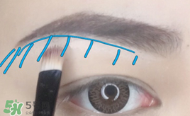 混血眼妝的畫法 藍(lán)色混血眼妝教程 混血眼妝的畫法 藍(lán)色混血眼妝教程