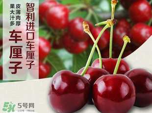 車?yán)遄恿验_(kāi)能吃嗎？車?yán)遄訛槭裁磿?huì)裂開(kāi)？