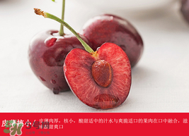 車厘子哪里產(chǎn)的最好？車厘子產(chǎn)地在哪里？