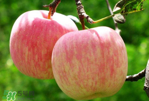 蘋果裂口怎么回事？蘋果裂口能不能吃？