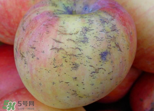 蘋果裂紋能吃嗎？蘋果裂紋是怎么回事？